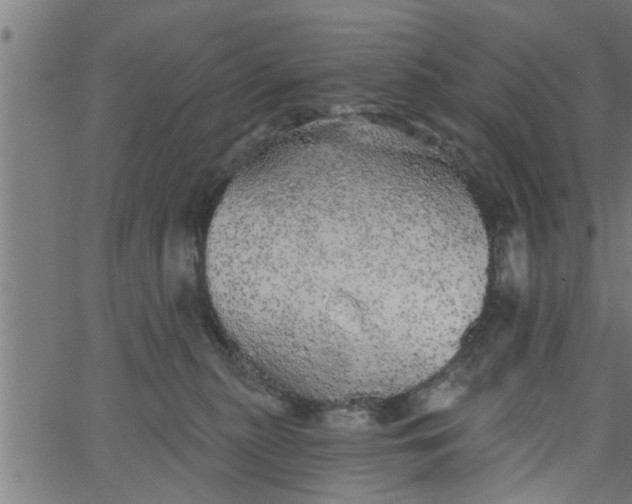 X0000066530279200603311827