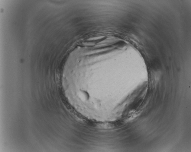 X0000066530281200603311827