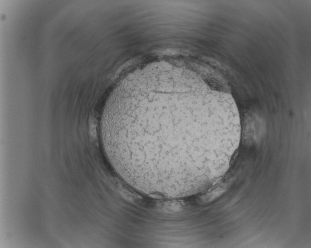 X0000066530282200603311827