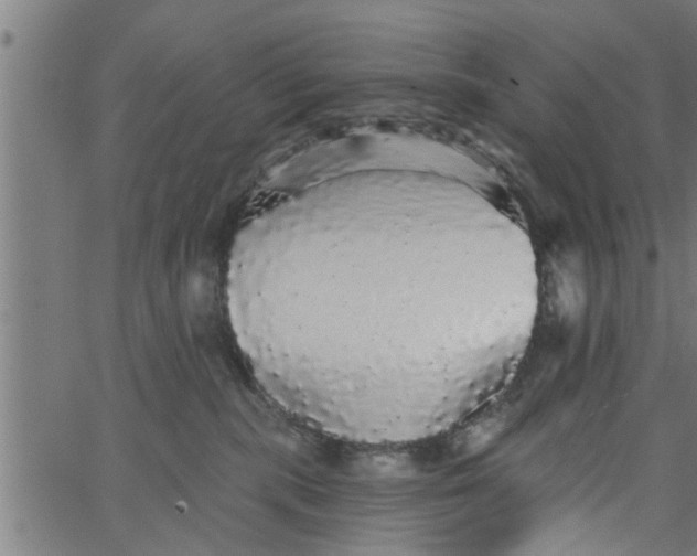 X0000066530283200603311827