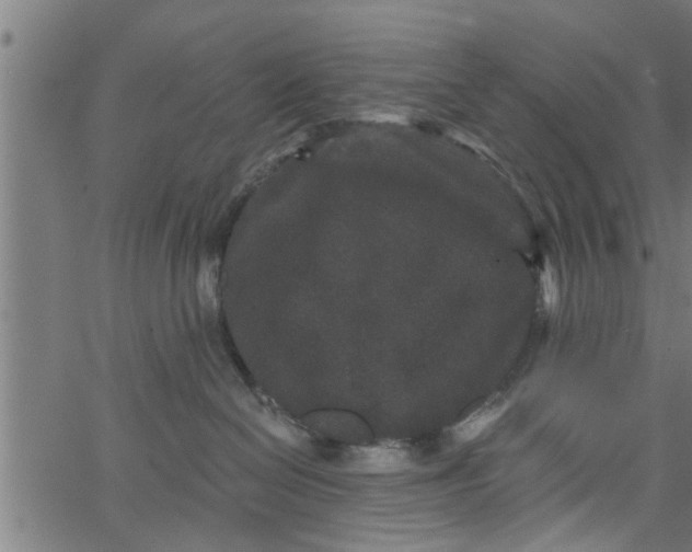 X0000066530286200603311828