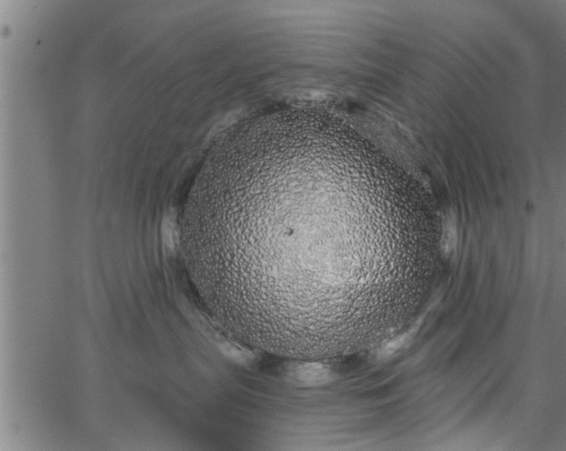 X0000066530287200603311828