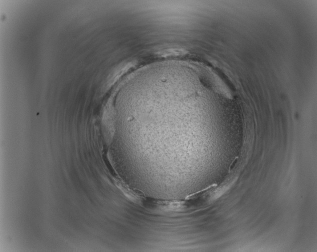 X0000066530288200603311828