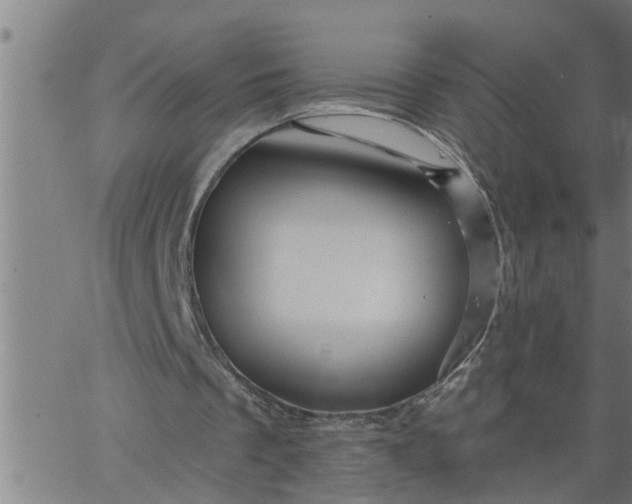 X0000066530289200603311827