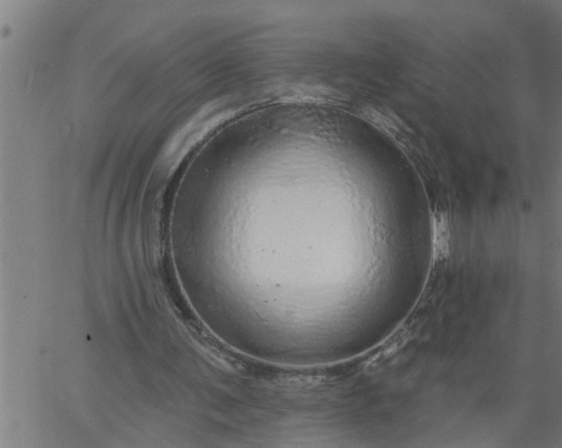 X0000066530291200603311827