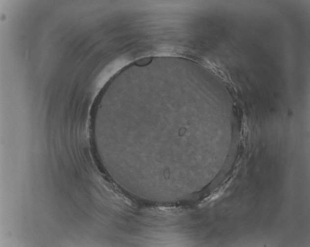 X0000066530292200603311827