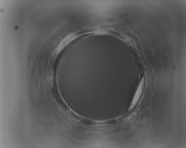 X0000066530295200603311827