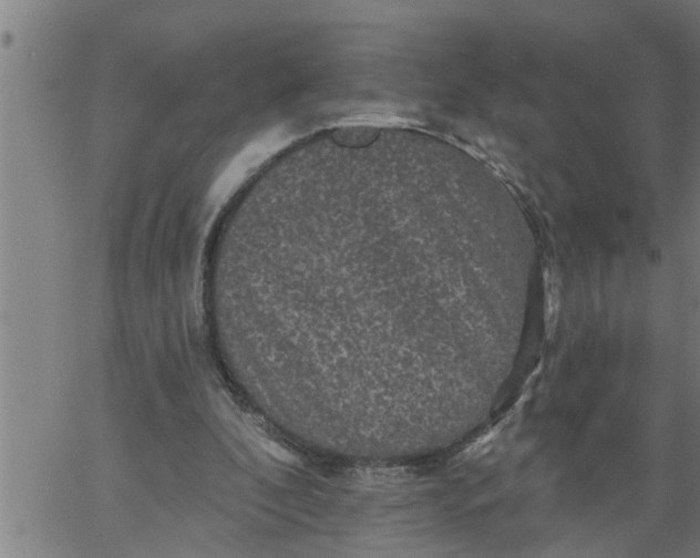 X0000066530296200603311827