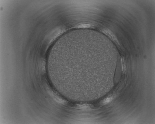 X0000066530300200603311827