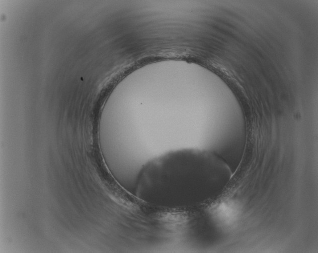 X0000066530303200603311827