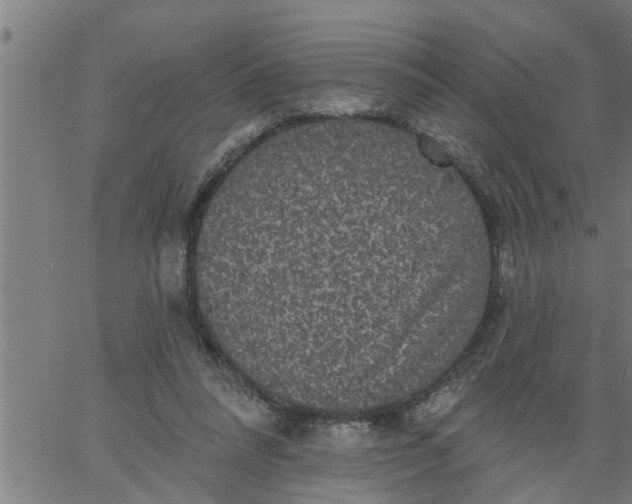 X0000066530304200603311827