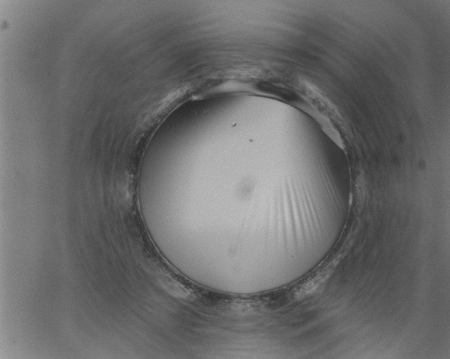 X0000066530305200603311827