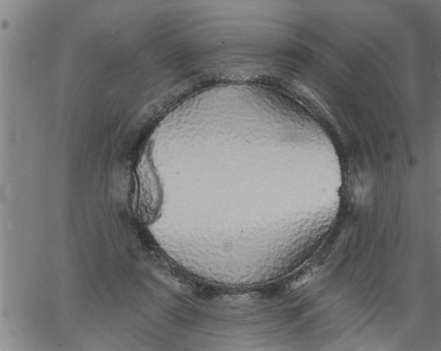 X0000066530307200603311826