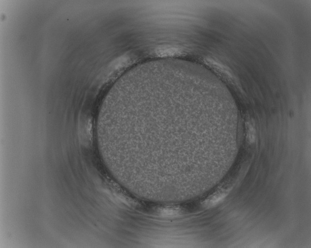 X0000066530308200603311826