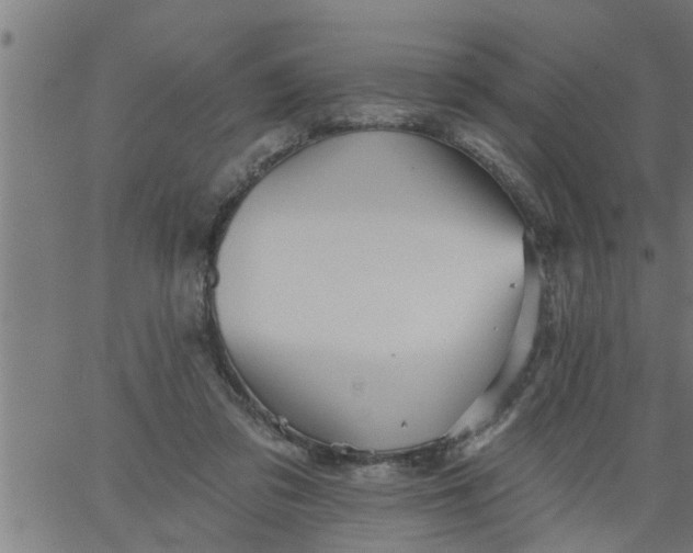 X0000066530309200603311826