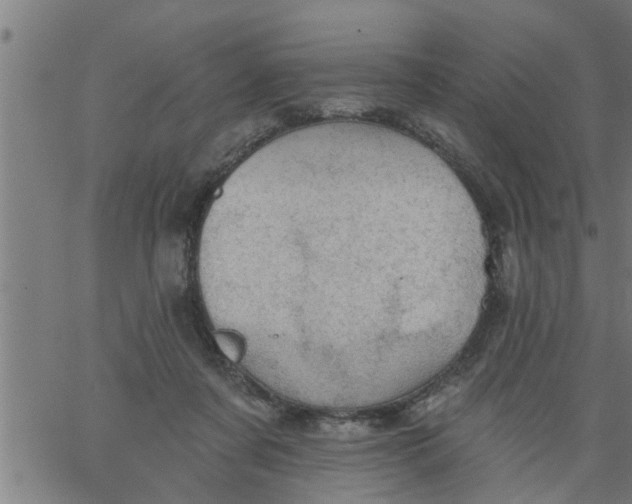 X0000066530311200603311826