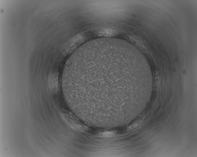 X0000066530312200603311826