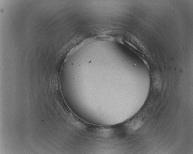 X0000066530313200603311826