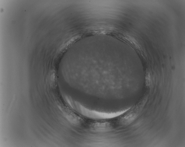 X0000066530314200603311826