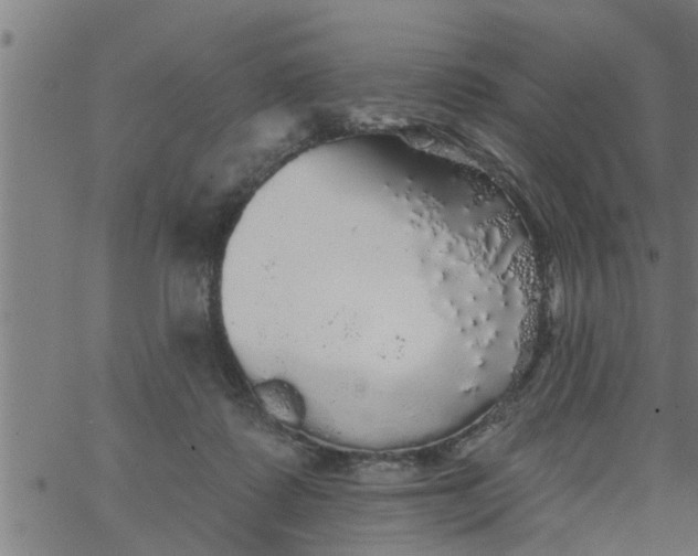 X0000066530315200603311826