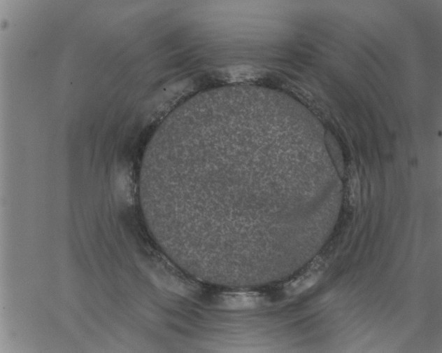 X0000066530316200603311826