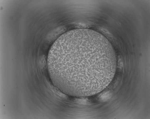 X0000066530318200603311826