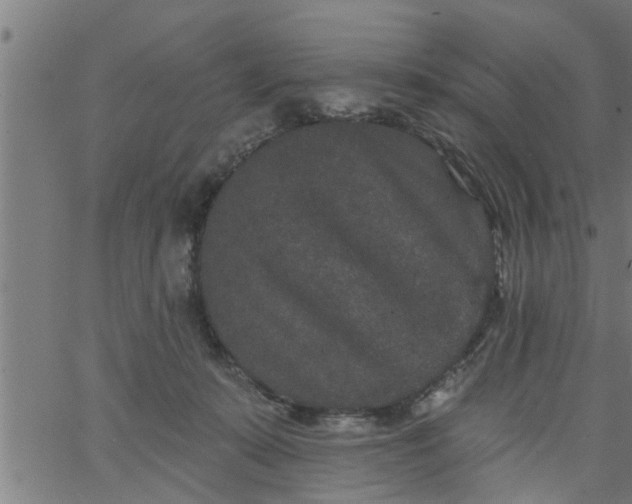 X0000066530319200603311826