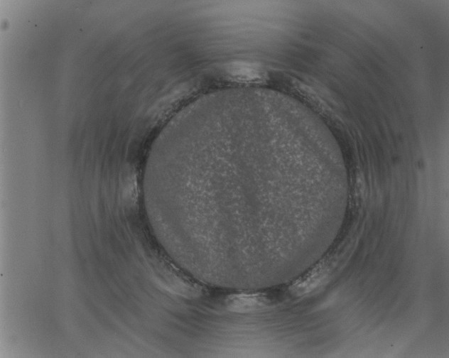 X0000066530320200603311826