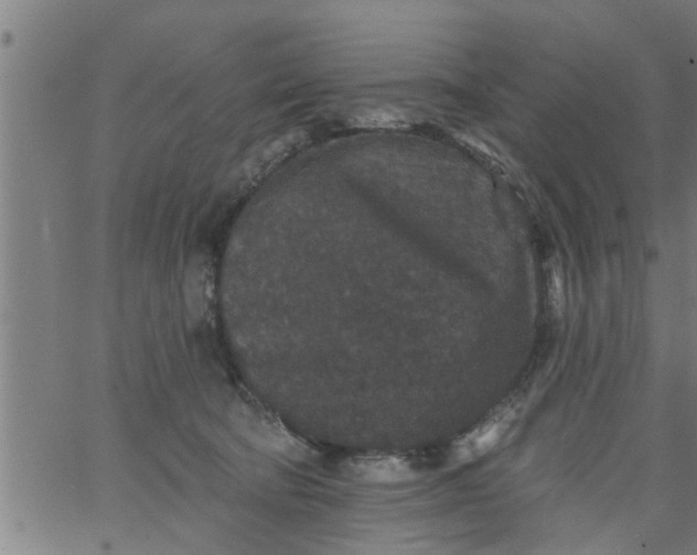 X0000066530322200603311826