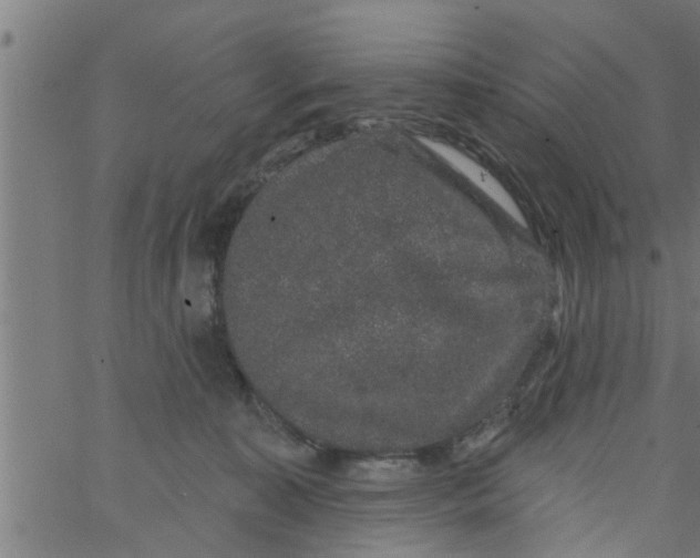 X0000066530323200603311826