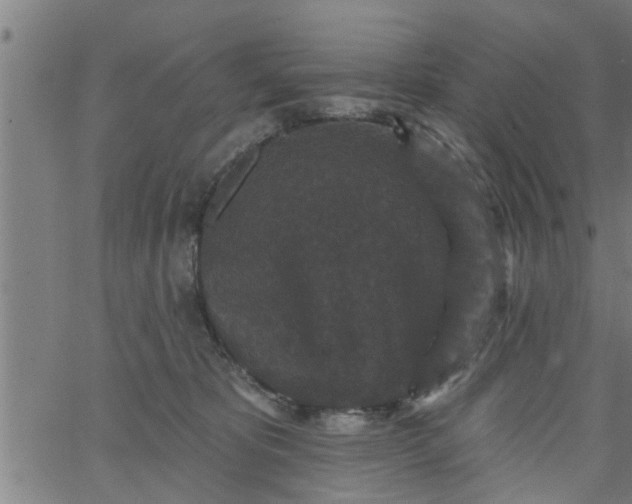 X0000066530325200603311826