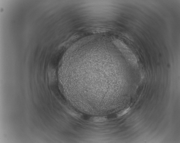 X0000066530327200603311826