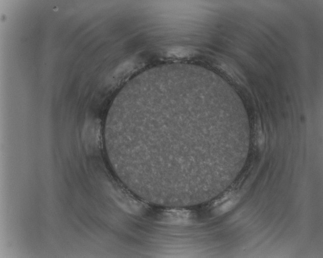 X0000066530328200603311826