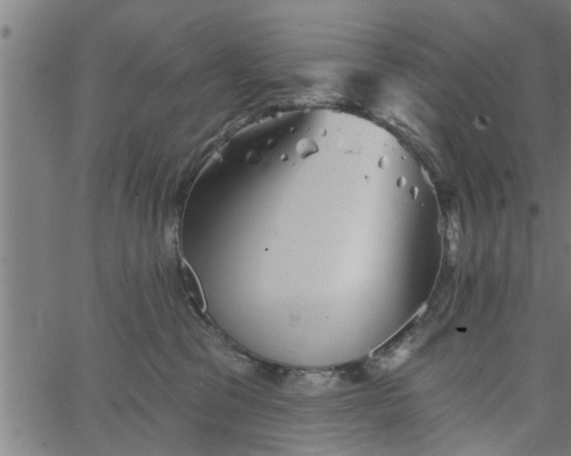 X0000066530329200603311826