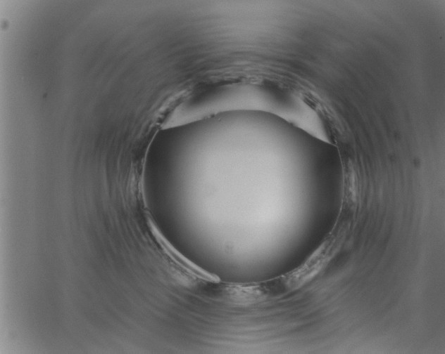 X0000066530333200603311826