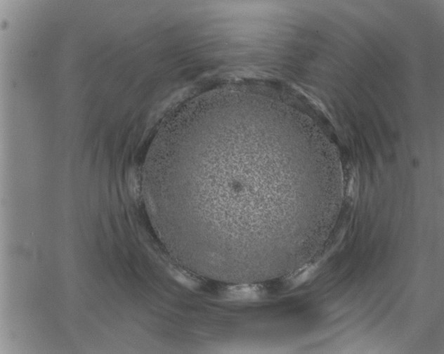 X0000066530335200603311826