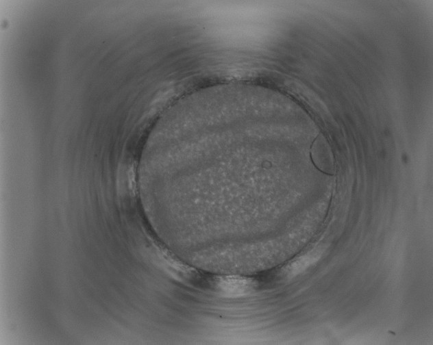 X0000066530336200603311826