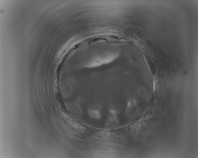 X0000066530339200603311825