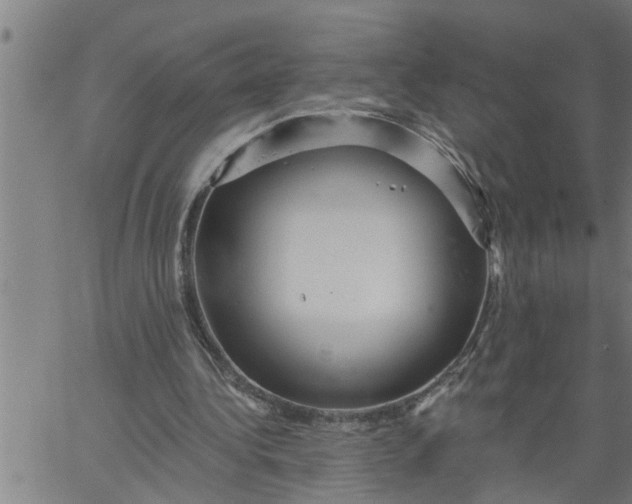 X0000066530340200603311825