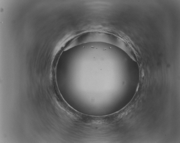 X0000066530344200603311825