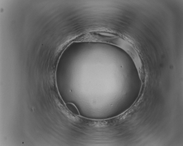 X0000066530345200603311825