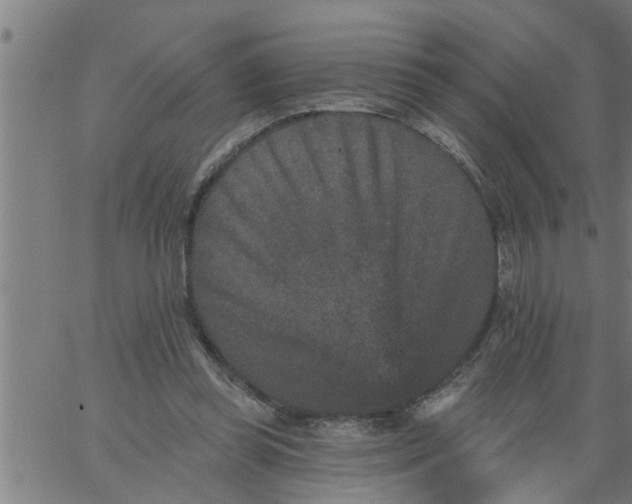 X0000066530349200603311825