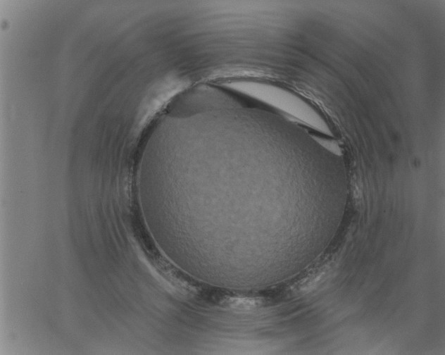 X0000066530352200603311825