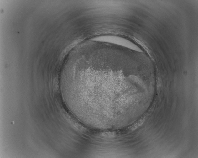 X0000066530353200603311825