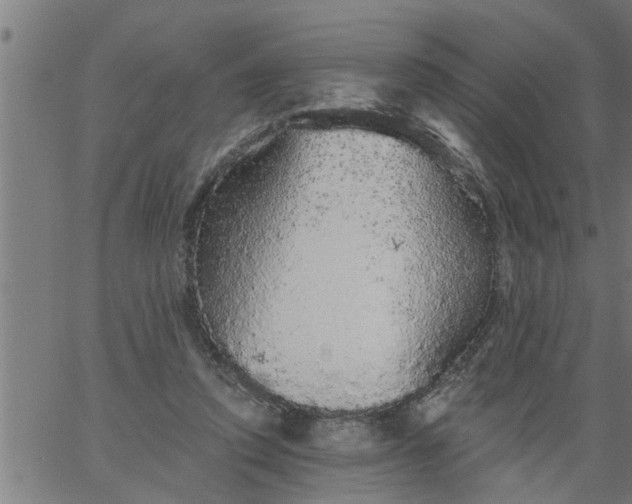 X0000066530354200603311826