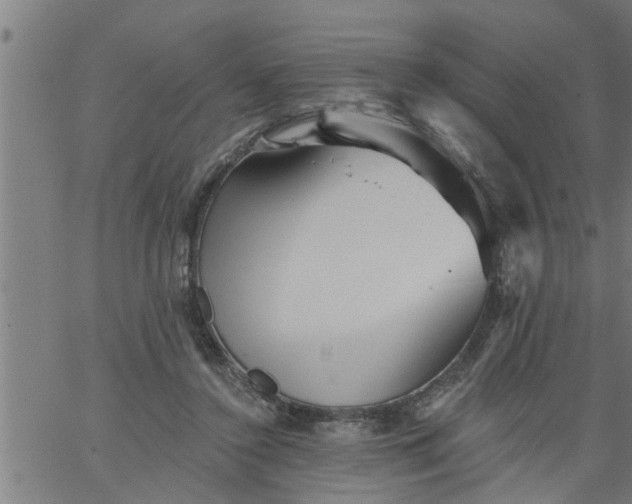 X0000066530356200603311826