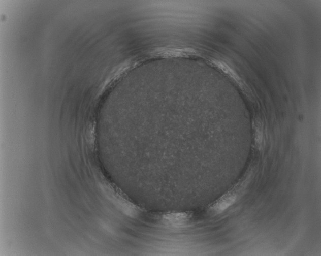 X0000066530357200603311826