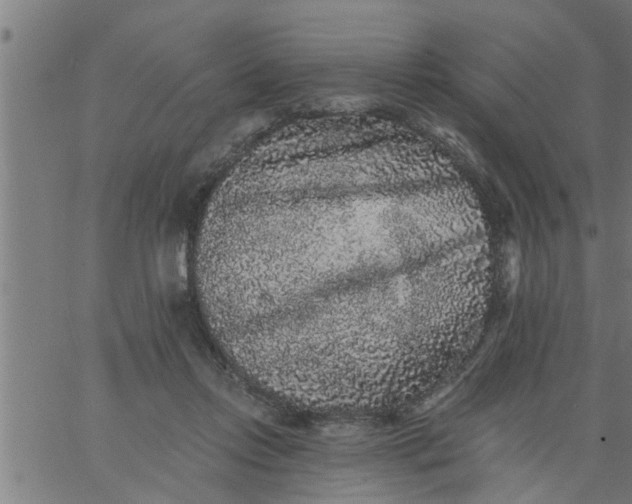 X0000066530358200603311826