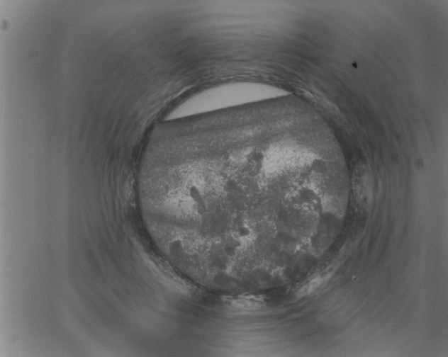 X0000066530359200603311826