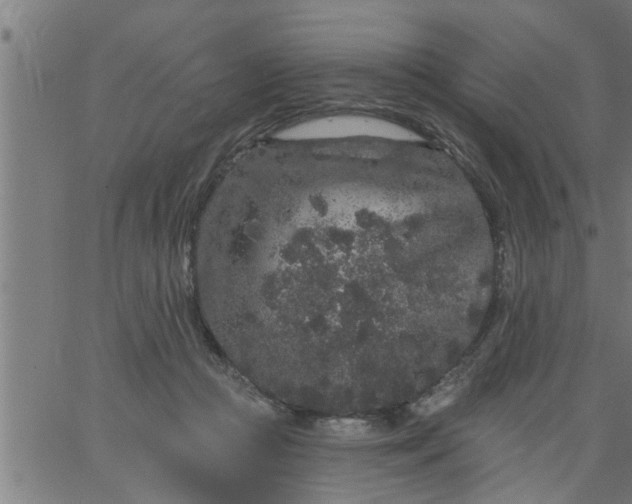 X0000066530361200603311826